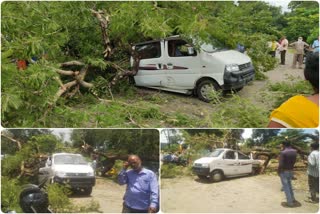 tree fell on car running on road