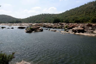 Puducherry govt to oppose K'taka Mekedatu dam project