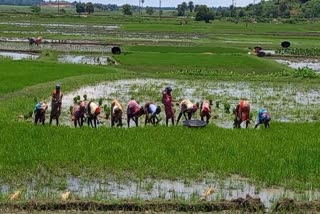 happiness among the farmers of sahibganj for kcc loan