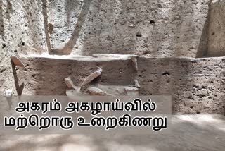 அகரம் அகழாய்வு தளம்