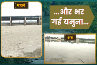 yamuna river wazirabad ghat water level update