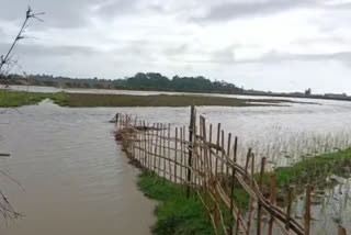 nowboicha flood