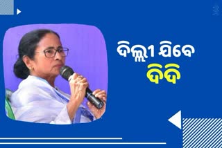 ମମତାଙ୍କ ଦିଲ୍ଲୀ ଗସ୍ତକୁ ନେଇ ଜୋର ଧରିଲା ତୃତୀୟ ମୋର୍ଚ୍ଚା ଚର୍ଚ୍ଚା