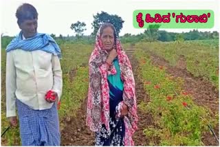 Itagi village couple getting more profit on rose crop