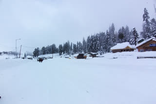 Gulmarg