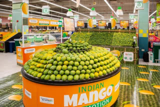 India displays its mango varieties in Dubai