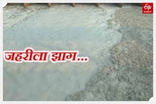 white foam in kalindi kunj yamuna