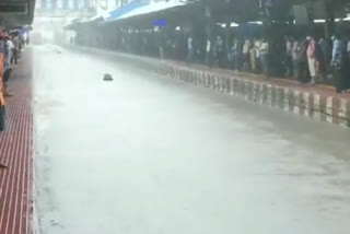 Heavy Rain In Mumbai, Roads Flooded, Local Trains Affected as railway track waterlogged