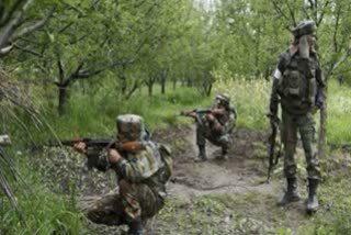 Two terrorists shot by security forces in Jammu and Kashmir