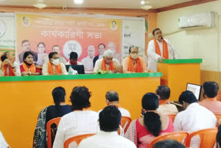 Suvendu Adhikari attack CM Mamata Banerjee on West Bengal Assembly By Election