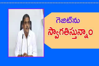 sajjala comments on gazette of krishna and Godavari basin