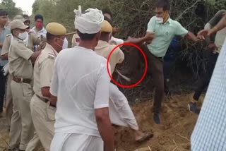एसडीएम ने किसान को मारी लात वीडियो वायरल