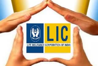 lic stock market profit  10000 crore stock market profit  LIC IPO  എൽഐസി  എൽഐസി ഓഹരി വിപണി ലാഭമെടുപ്പ്