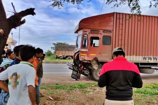 tree-death-in-road-accident