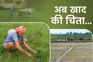 fertilizer supply in jharkhand