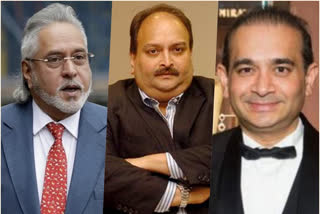 SBI-led consortium recovers another Rs 792 cr by selling shares of Vijay Mallya, Choksi, Nirav Modi: ED