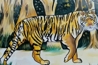 missing-tigress-from-palamu-tiger-reserve