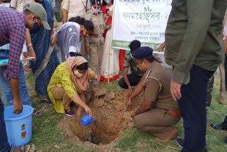 চলছে চারাগাছ রোপণ