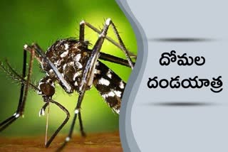 kerala zika dengue