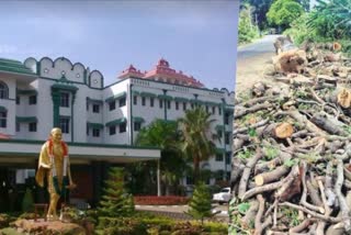 stop the cutting of trees on the Thiruchendur Ambasamudram roads