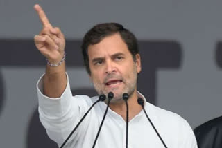congress-rejig-on-cards-as-rahul-gandhi-says-he-needs-only-fearless-people