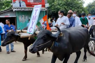 Trinamool Youth Congress protest Petrol Price Hike in South Dinajpur