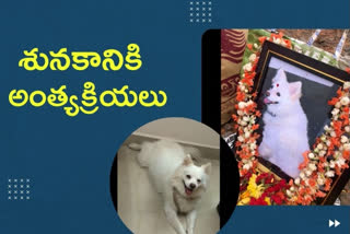 owner showing humanity by doing dog funeral in vijayawada