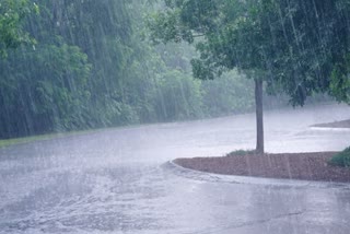 Junagadh Rain Update