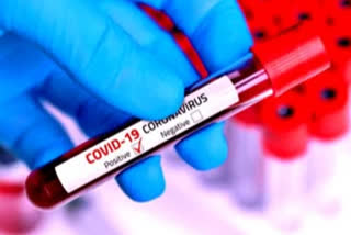 coronavirus recovery rate increased to 97.31 percent