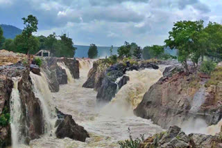 dharmapuri news  dharmapuri latest news  தர்மபுரி  தர்மபுரி செய்திகள்  ஒகேனக்கலில் நீர்வரத்து அதிகரிப்பு  தர்மபுரி ஒகேனக்கல்லில் நீர்வரத்து அதிகரிப்பு  water level Increase in Dharmapuri hoganakkal  water level Increase in hoganakkal