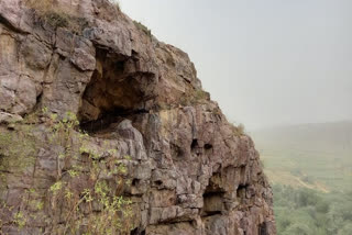 Palaeolithic site in Indian subcontinent spotted in Haryana