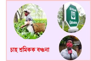 আমগুৰিত মিশ্ৰিত প্ৰতিক্ৰিয়া চাহ জনগোষ্ঠীলোকসকলৰ