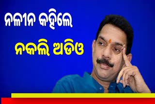 କର୍ଣ୍ଣାଟକ ବିଜେପି ସଭାପତ ନଳୀନ କୁମାର ନାଁରେ ଅଡିଓ ଭାଇରାଲ