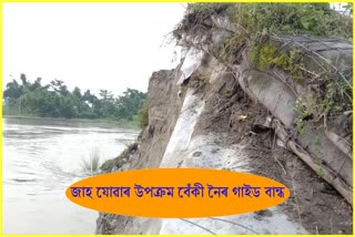 Guide dam in the depths of the Beki river erosion At Barpeta District