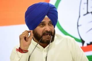 sidhu appointed as punjab congress chief