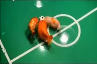 Viral video: Seven seconds of fish playing underwater football