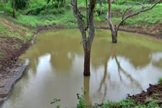 Solution to the drinking water problem of wildlife  Solution to the drinking water problem of wildlife because of rain  erode satyamangalam tiger reserved forest  erode news  erode latest news  வனவிலங்குகளின் குடிநீர்ப் பிரச்னைக்கு தீர்வு  சத்தியமங்கலத்தில் வனவிலங்குகளின் குடிநீர்ப் பிரச்னைக்கு தீர்வு  தொடர் மழையால் சத்தியமங்கலத்தில் வனவிலங்குகளின் குடிநீர்ப் பிரச்னைக்கு தீர்வு  சத்தியமங்கலத்தில் வனவிலங்கு  ஈரோடு சத்தியமங்கலம் வனப்பகுதி  குடிநீர்ப் பிரச்னைக்கு தீர்வு