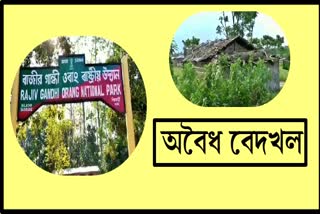 illegal encroachment at orang national park