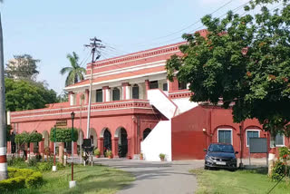 French Toast and Aligarh Muslim University