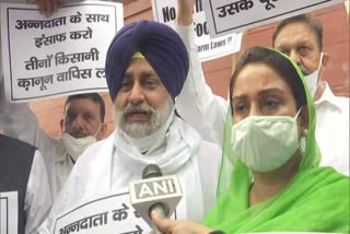 Shiromani Akali Dal staged a protest against the Centre's farm laws outside Parliament