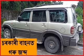 one Thief arrested with cattle and Scorpio car By Police At Chirang District