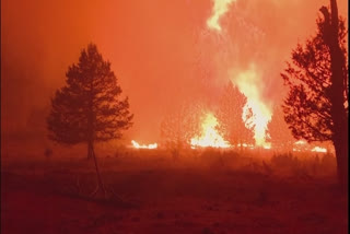 Size of Oregon wildfire underscores vastness of the US West