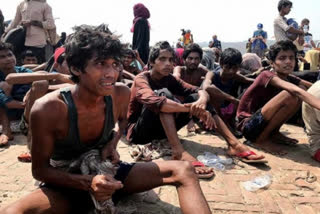 Illegal Rohingya migrants pose threat to national security: Govt tells LS