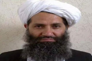 No threat to neighbouring countries: Taliban chief Hibatullah