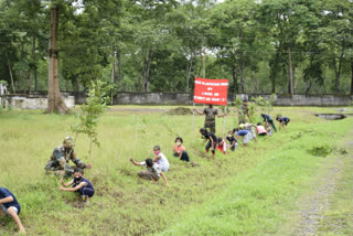 Assam Rifels plantation programme at Tezpur