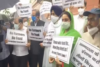 کسانوں کی حمایت میں پارلیمنٹ کے باہر احتجاج