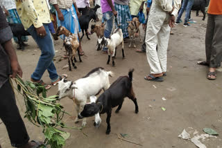 Animal market affected by lockdown on the occasion of Eid-ul-Azha