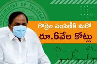 cm-kcr-orders-to-minister-talasani-on-seeps-distribution-in-telangana