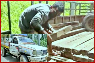 Illegal Timber seized in kaliabar