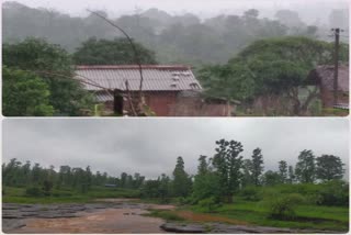 ડાંગ જિલ્લામાં સાર્વત્રિક વરસાદ સાપુતારામાં 4 ઇંચ વરસાદ ખાબકયો